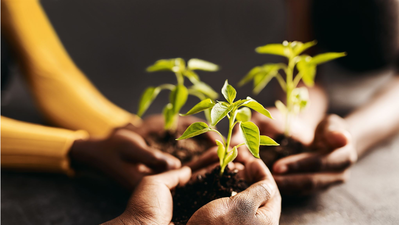 Fostering Harmony And Healing Through Youth Interfaith And Environmental Activism